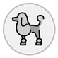 poodle