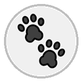 paw prints