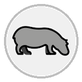 hippopotamus