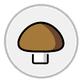 champignon brown