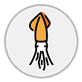 squid