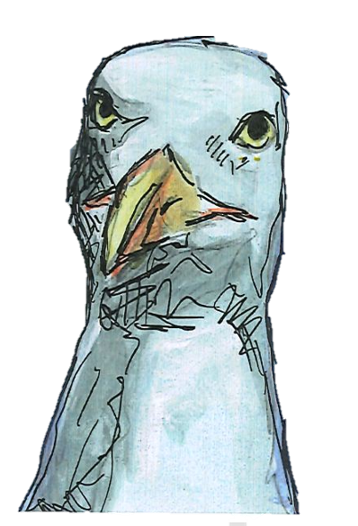 Seagull
