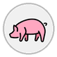 pig