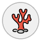 coral