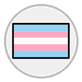 transgender flag