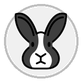 rabbit face