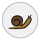 snail
