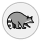 raccoon