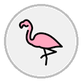 flamingo