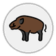 boar