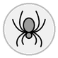 spider