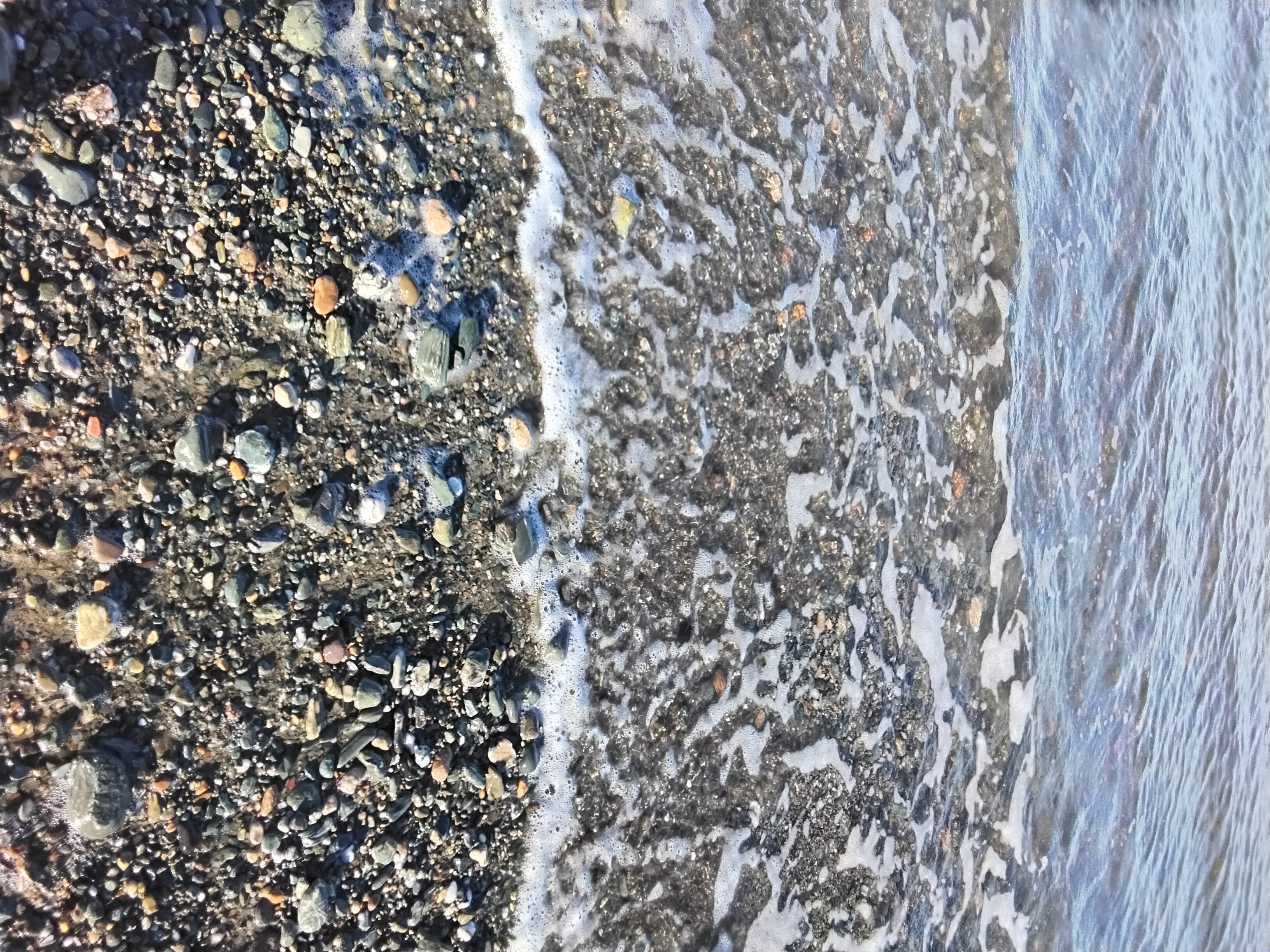 Alt text for the image