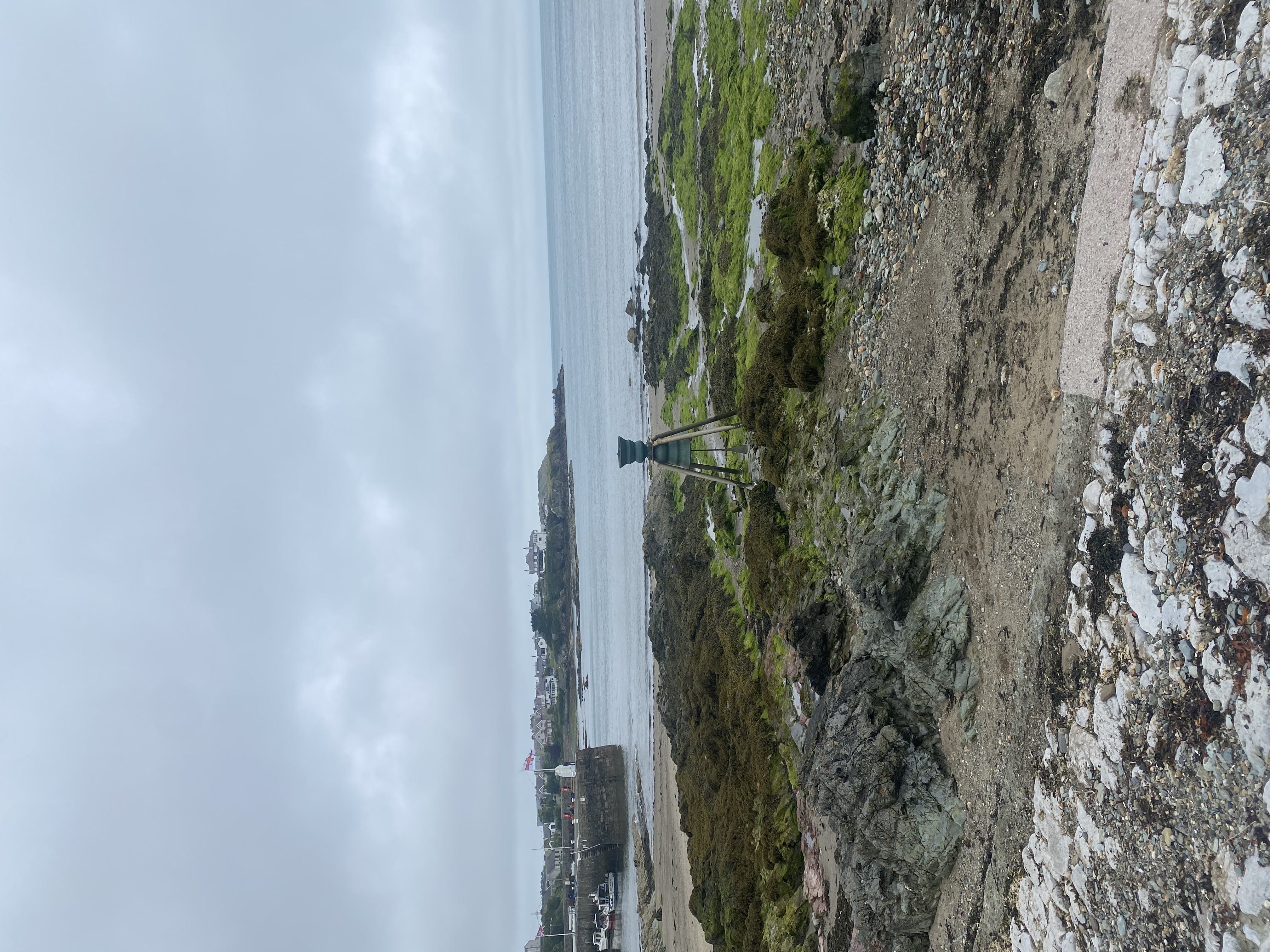 Alt text for the image