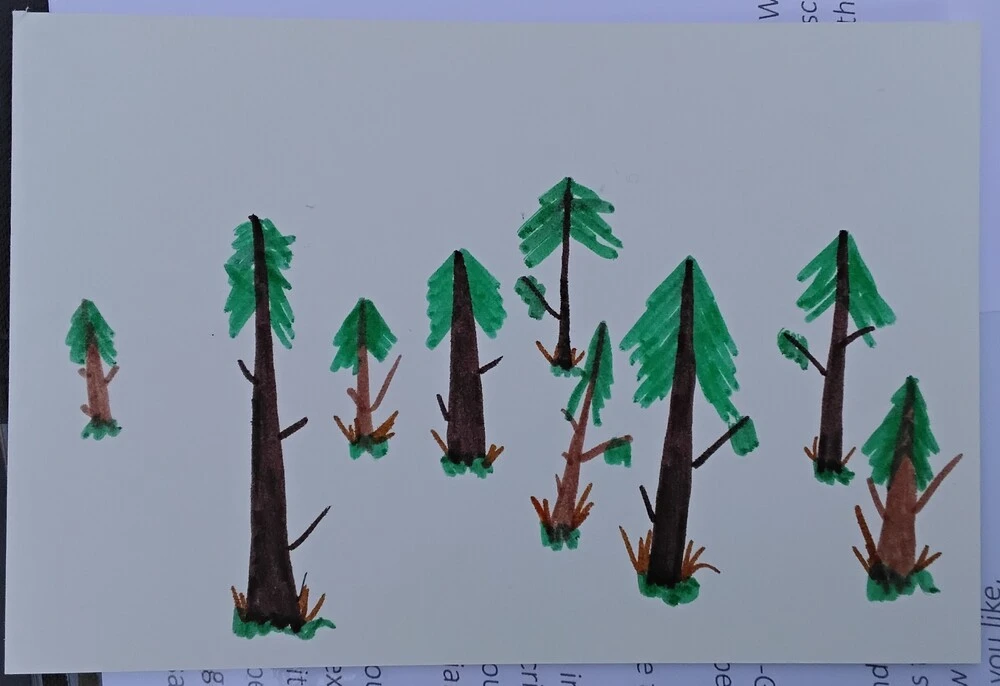 Front of postcard by , age 