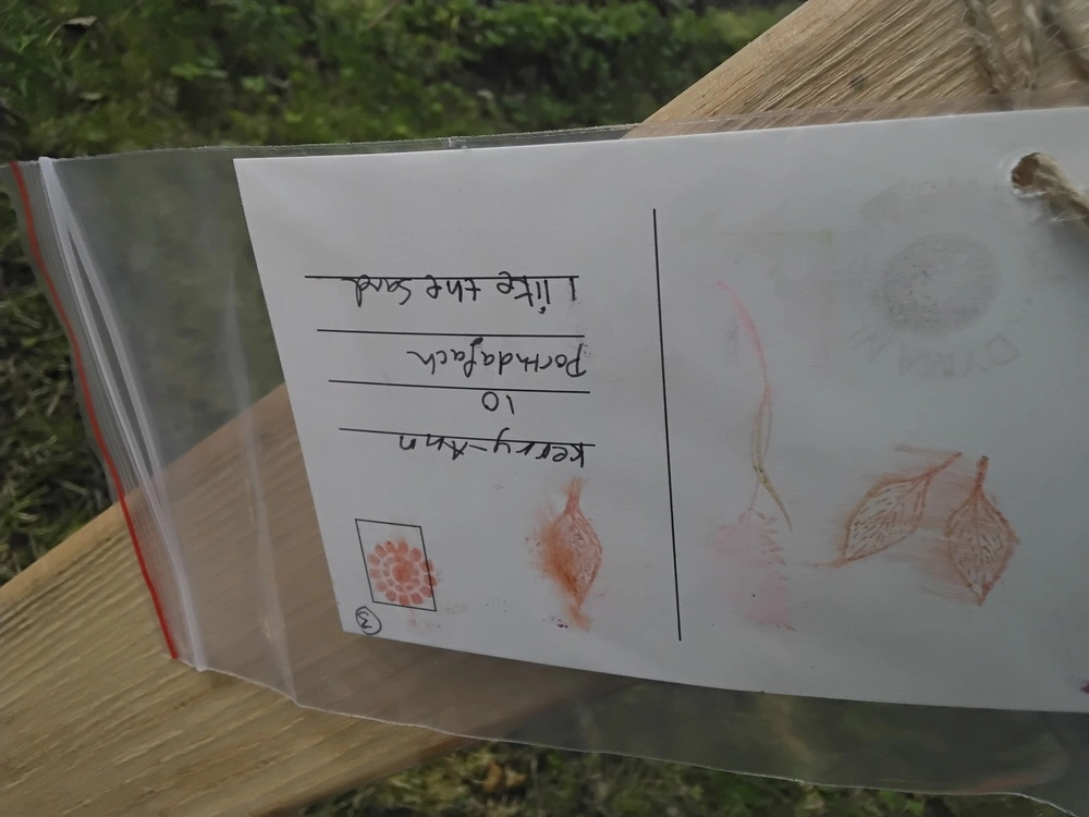 Front of postcard by , age 