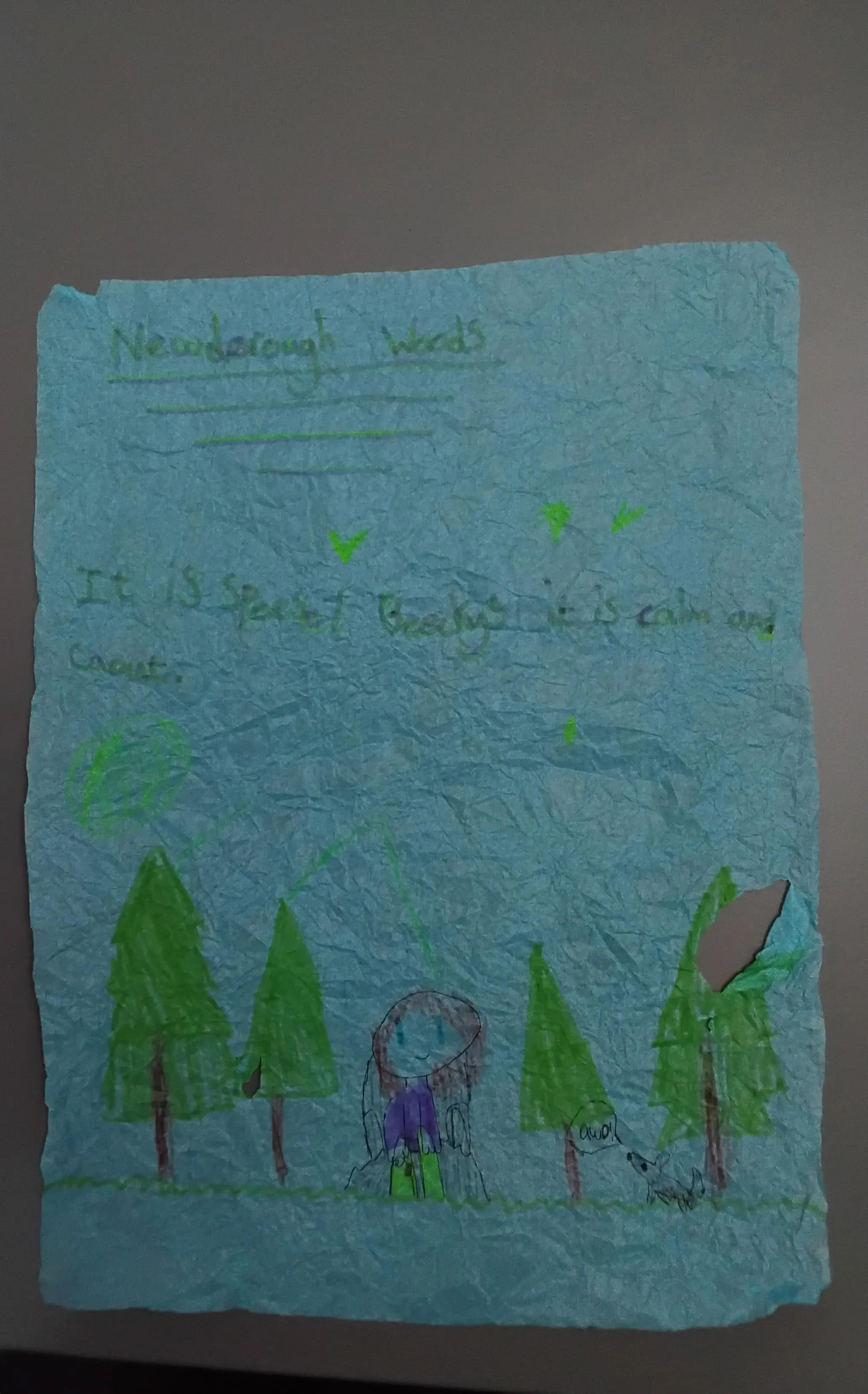 Newborough woods is my favourite place for my rock