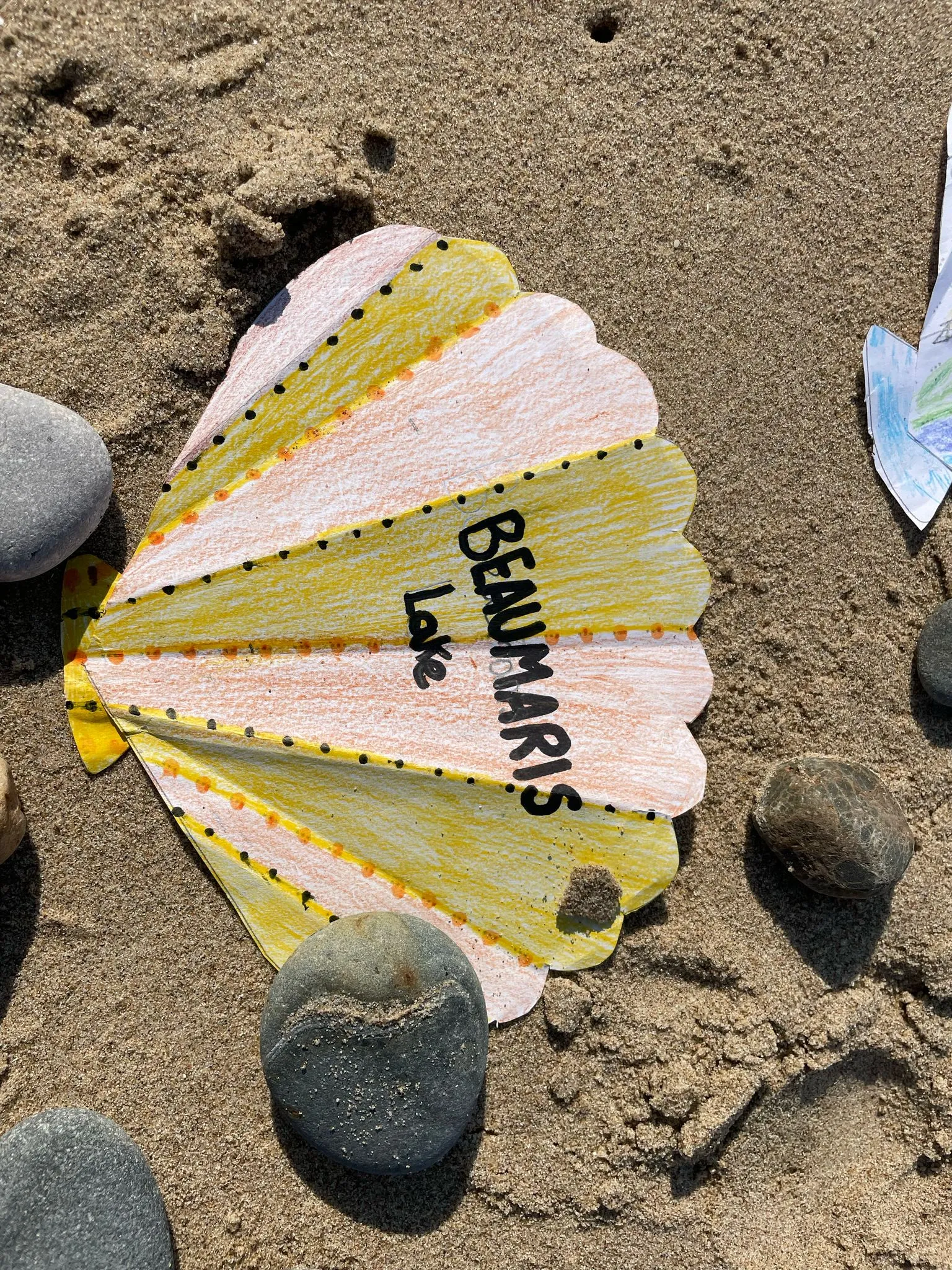 Favourite place where my shell came from