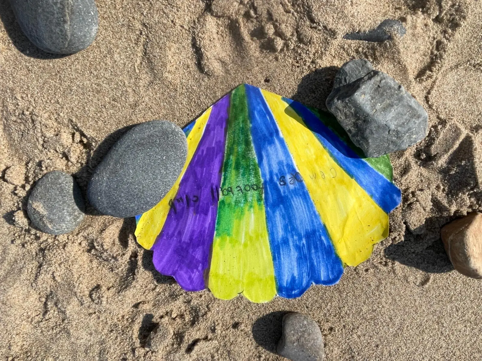 Favourite place where my shell came from